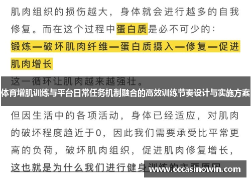 体育增肌训练与平台日常任务机制融合的高效训练节奏设计与实施方案