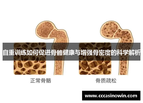 自重训练如何促进骨骼健康与增强骨密度的科学解析