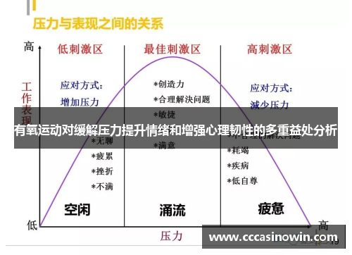 有氧运动对缓解压力提升情绪和增强心理韧性的多重益处分析